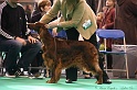 Crufts2011 001